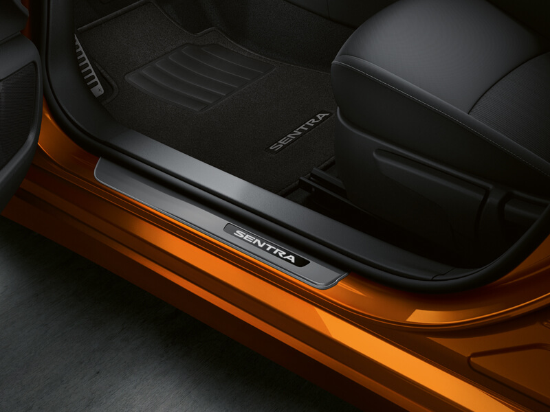 ESTRIBOS INTERIORES ILUMINADOS